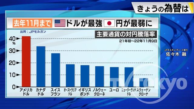 2023年02月09日 画像1