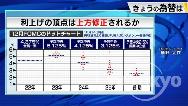 2023年03月15日 画像3